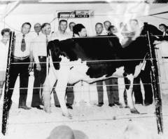 Kolb Family History 08