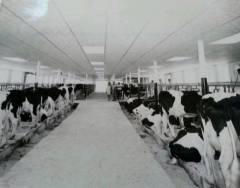 Kolb Family History 06