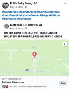 Kolbs Dairy Sales 107