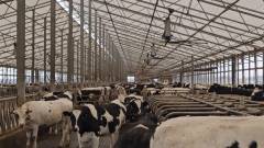 Kolbs Dairy Sales 093